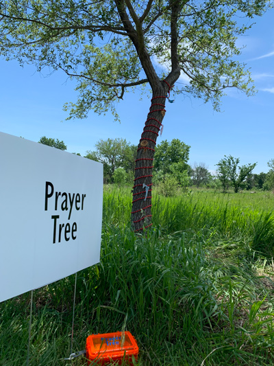 photo: prayer tree